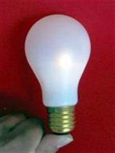 Magic Light Bulb - Plastic - Push Button Model