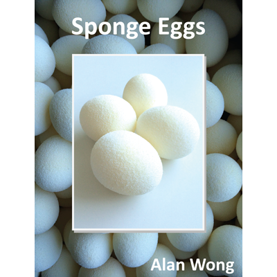 Sponge Eggs (4pk.) by Alan Wong - Trick - Click Image to Close