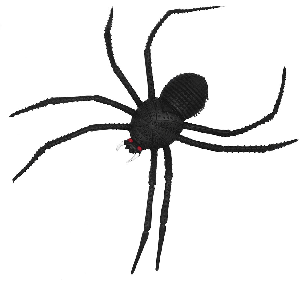 Spiders.Black 14" Long Legged.
