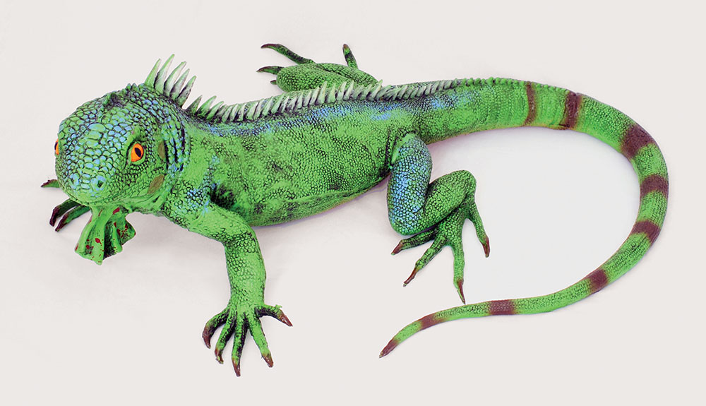 Lizard Prop. Green