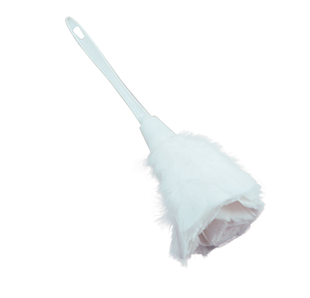 Feather Duster. White ?