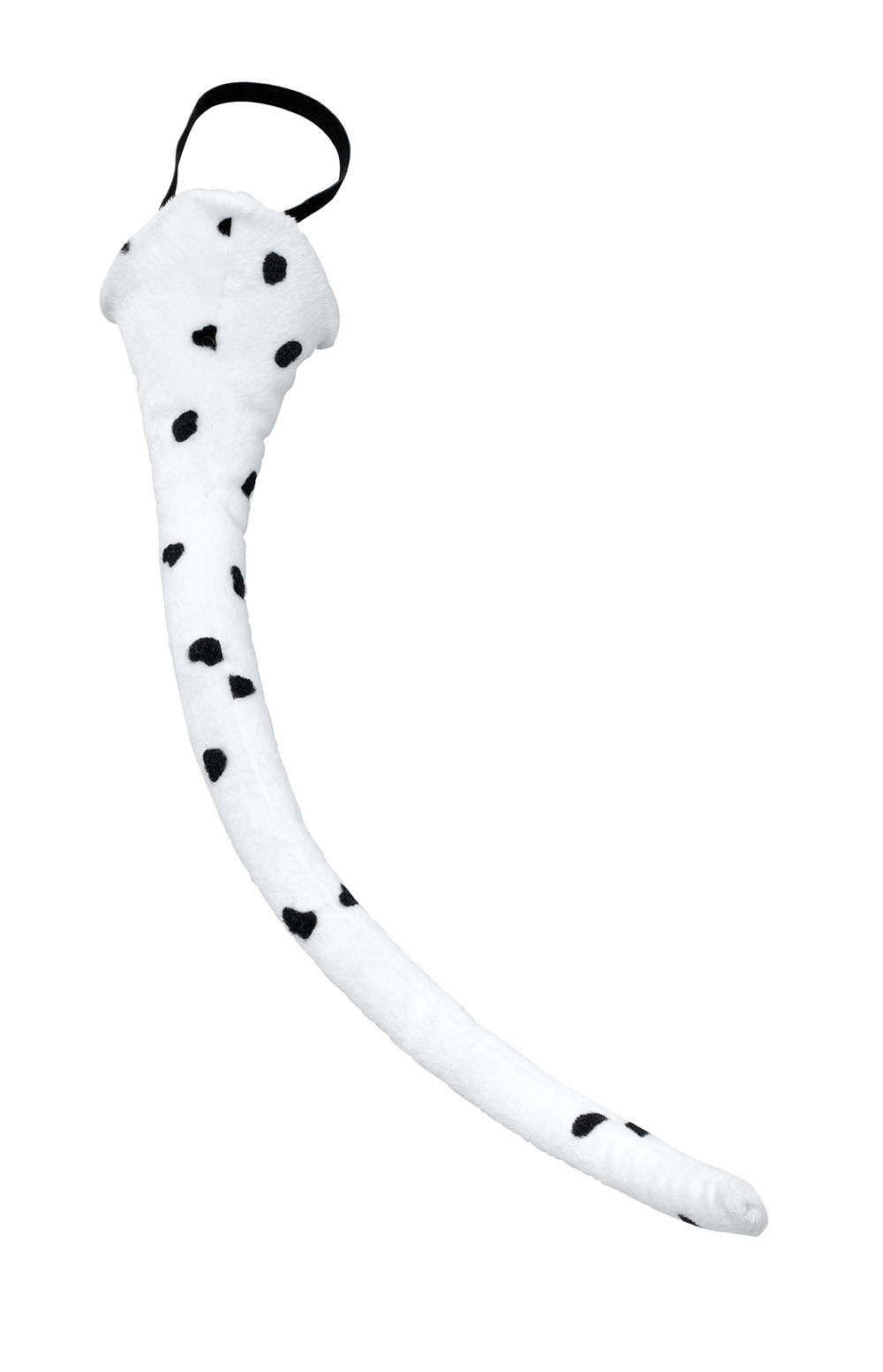 Dalmatian Tail