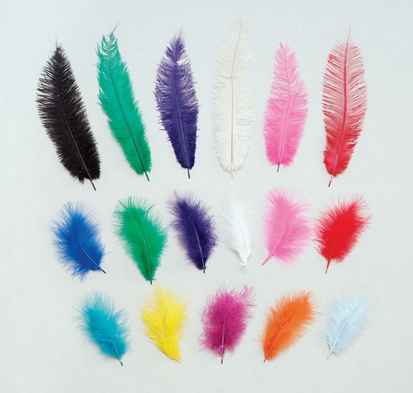 Chick Feathers Black 10/pkt