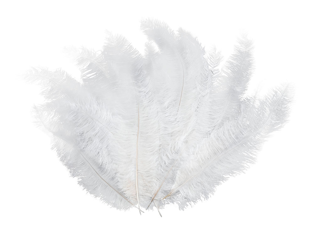 Blondine Feather. White 12/pkt