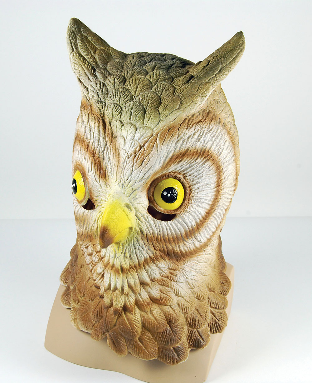 Owl Overhead