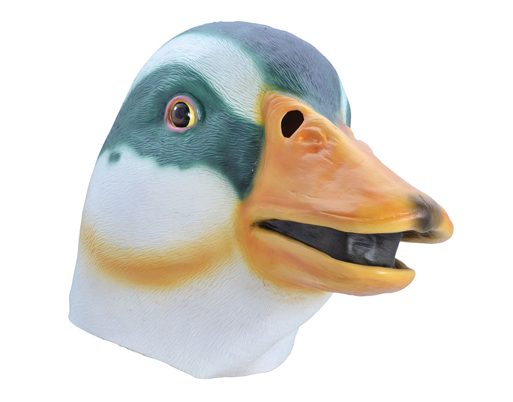 Duck. Orange Beak