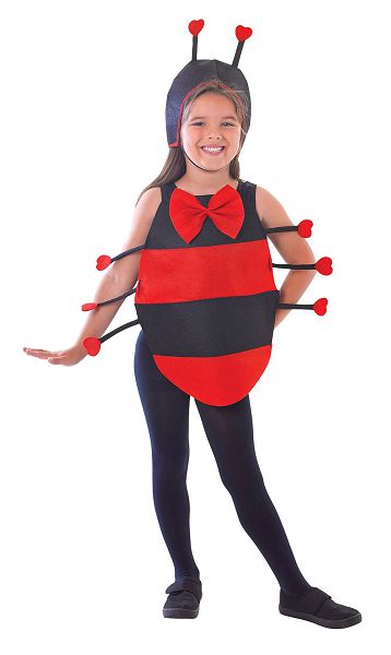 Ladybird Dress Up Kit