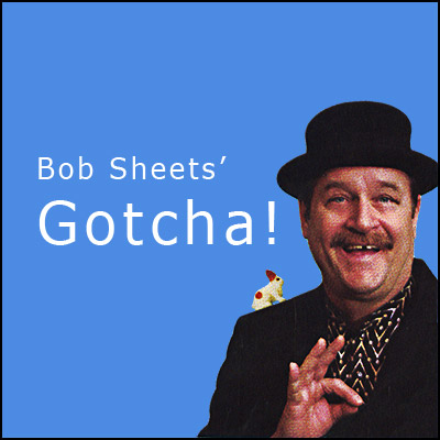 Gotcha (DVD and Cards) by Bob Sheets - DVD