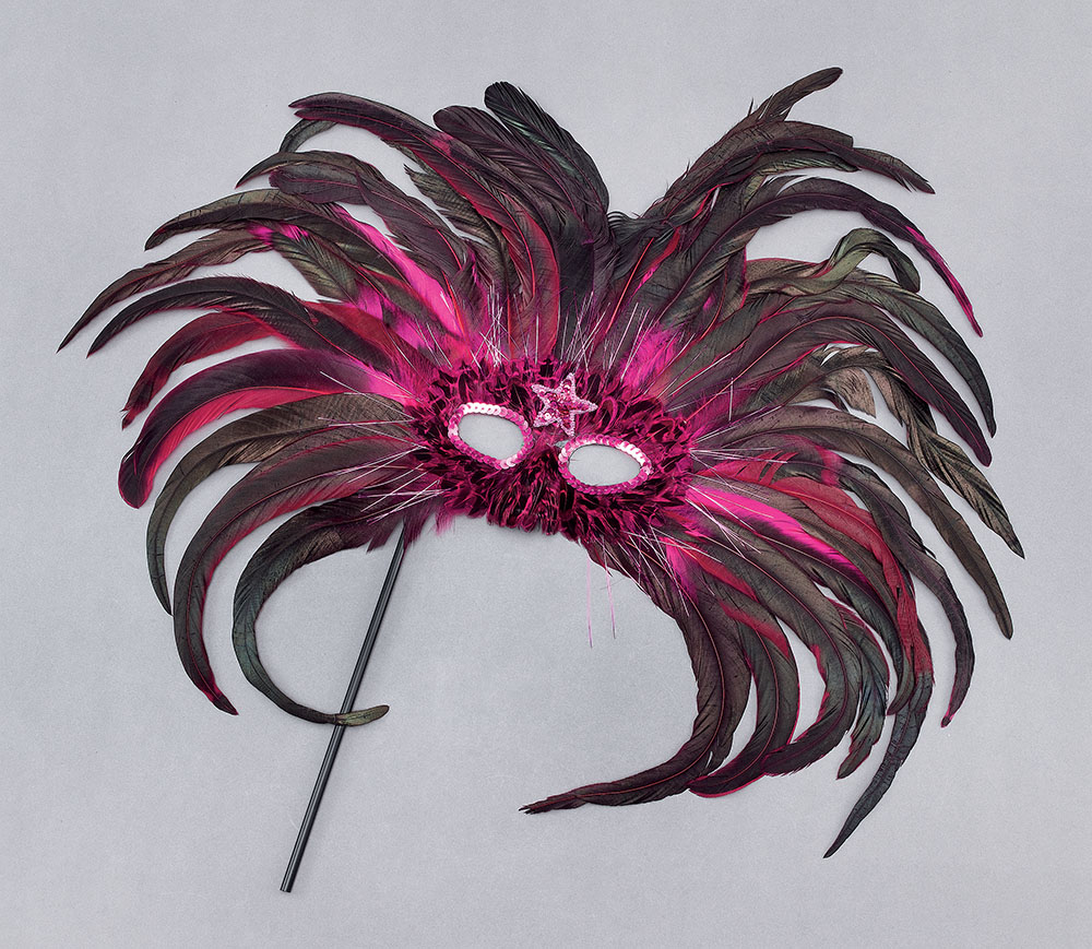 Magenta/Black Feather On Stick - Click Image to Close