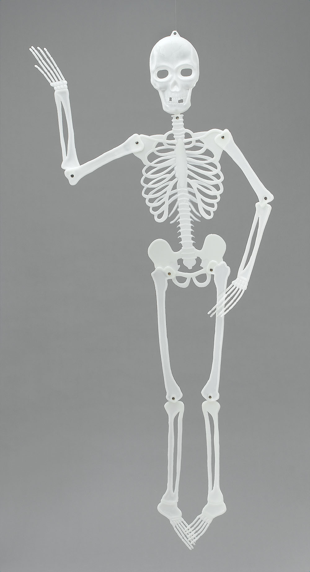 Skeleton. 60" PVC G.I.D