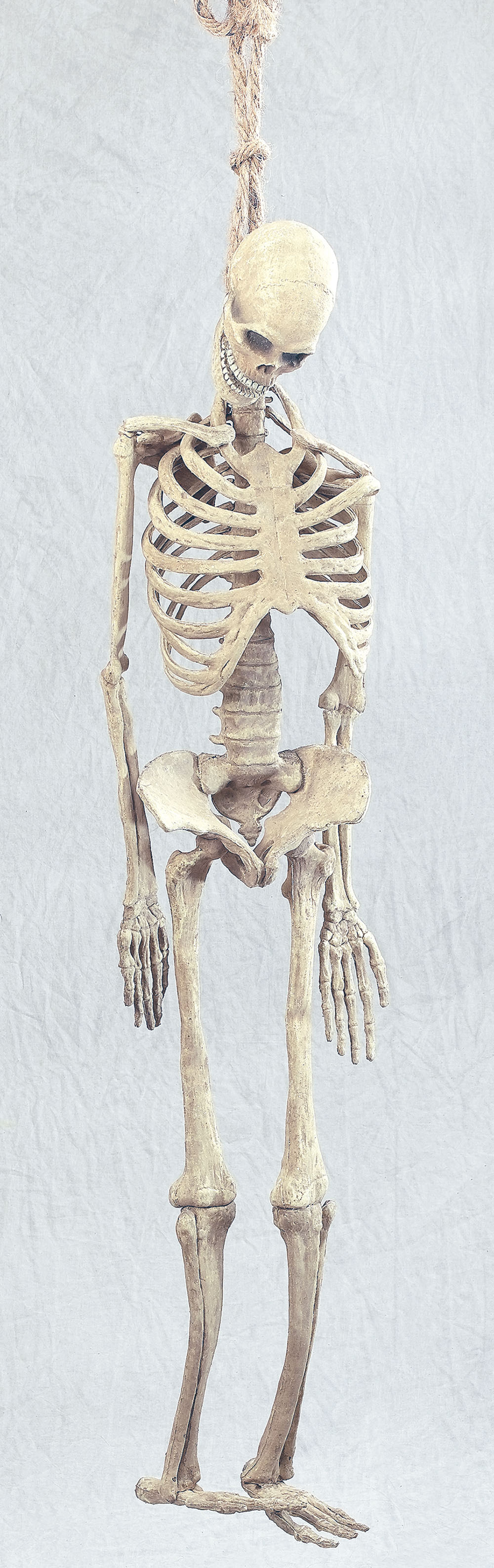 Skeleton. Full Size Rubber