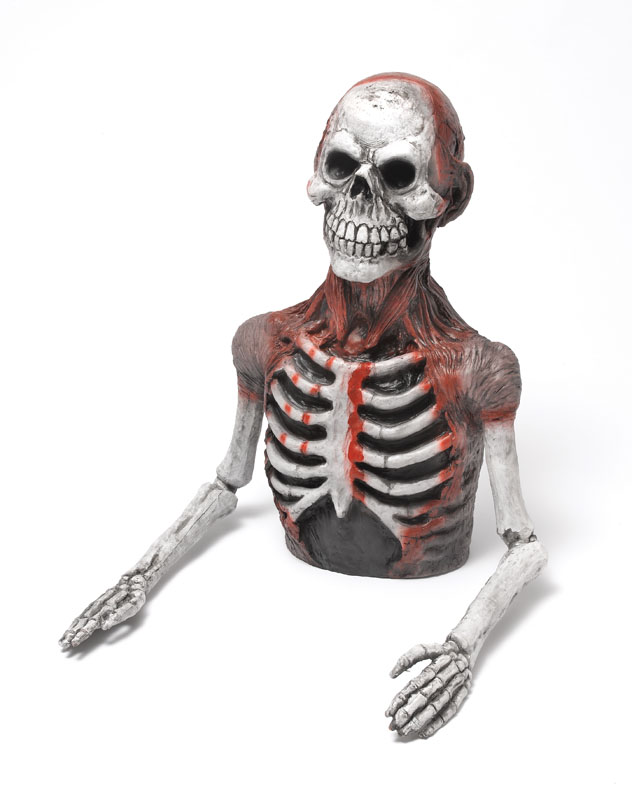 Bloody Skeleton Half Body