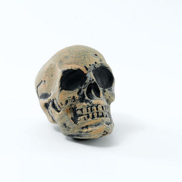 Skull. Small - Click Image to Close