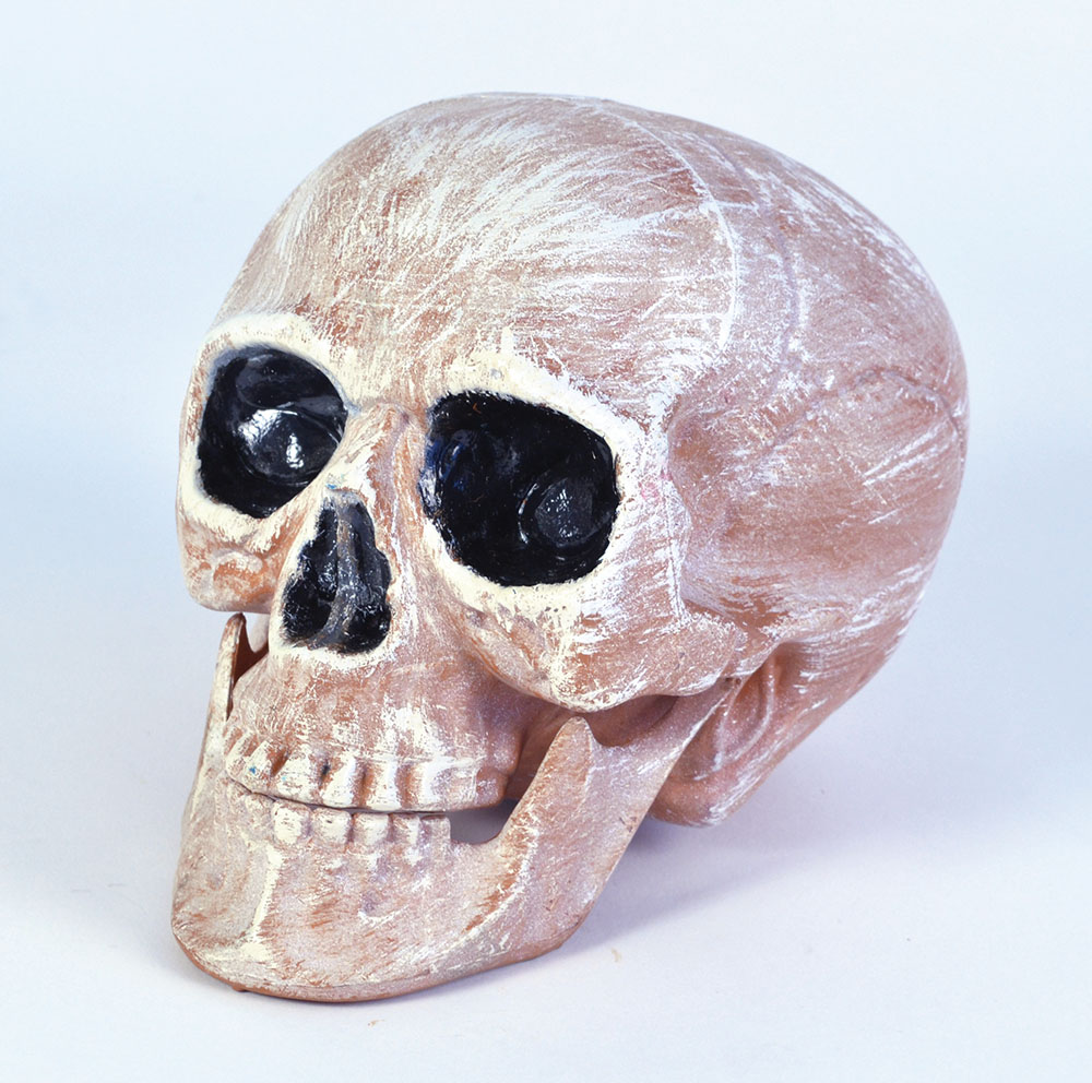 Skull Head Realistic