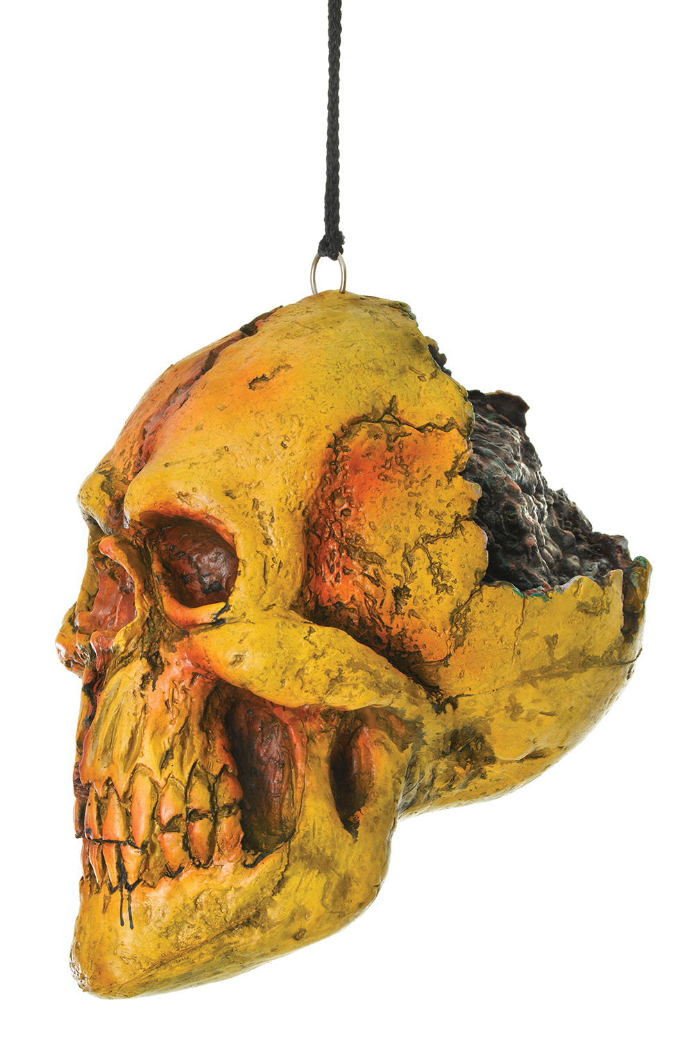 Broken Skull Hanging Head