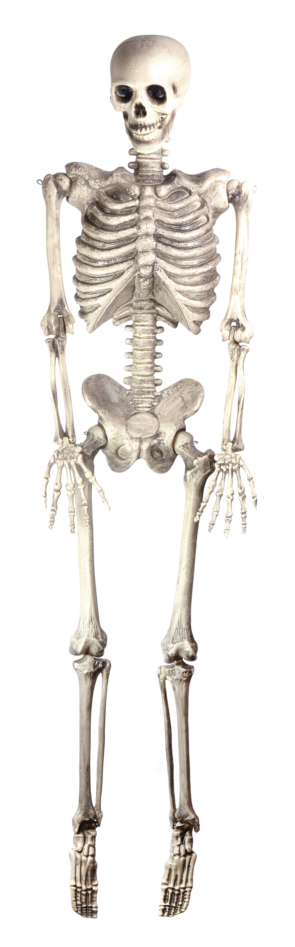 Skeleton 60" Hanging ?