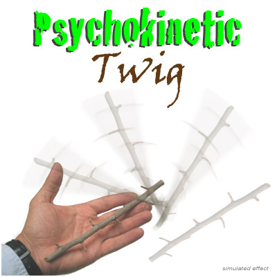 Cesaral Psychokinetic Twig by Cesar Alonso (Cesaral Magic) - Tri