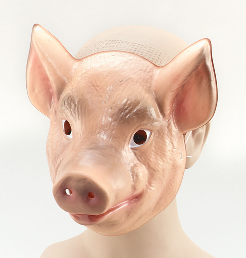 Plastic Animal. Pig