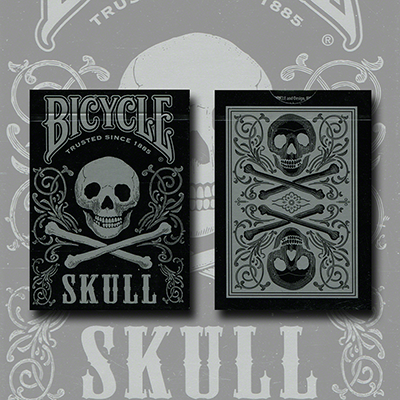 Bicycle Skull Metallic (Silver) USPCC by Gambler's Warehouse - T