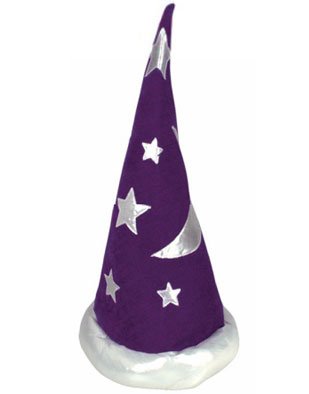 Wizard Hat - Purple & Silver